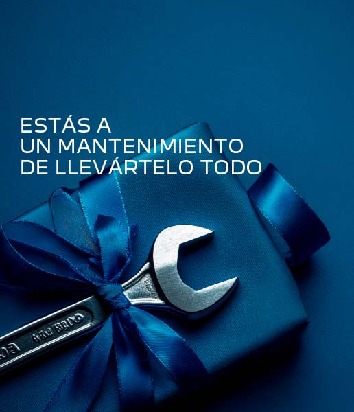 Promoción Mantenimiento